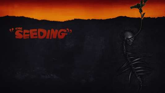 The Seeding - Backdrops