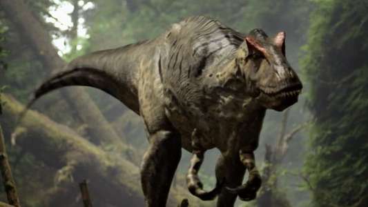 Walking with Dinosaurs - Backdrops