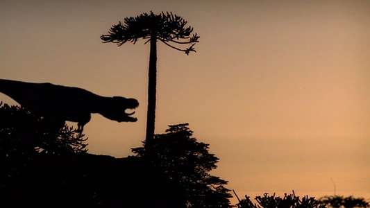Walking with Dinosaurs - Backdrops