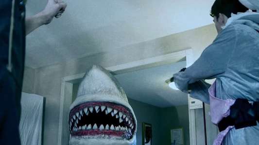 House Shark - Backdrop