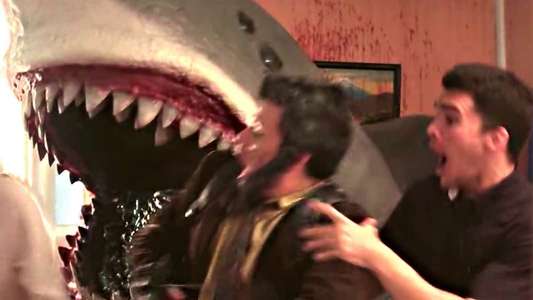 House Shark - Backdrop