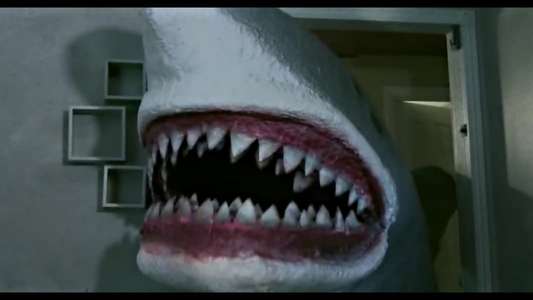 House Shark - Backdrop
