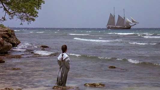 Wide Sargasso Sea - Backdrop