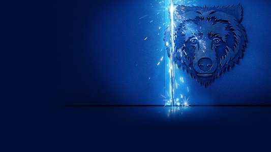 The Bear - Backdrops