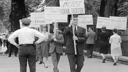The Lavender Scare - Backdrop