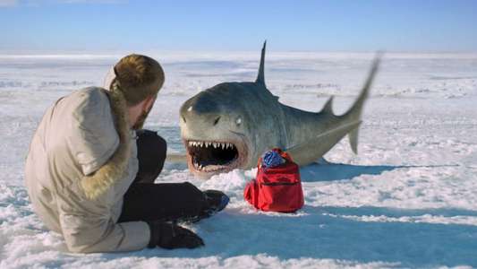 Ice Sharks - Backdrops