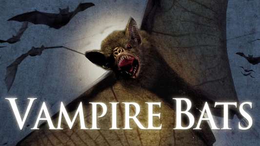 Vampire Bats - Backdrops