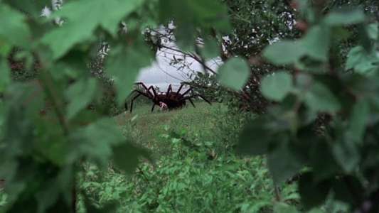 The Giant Spider Invasion - Backdrops