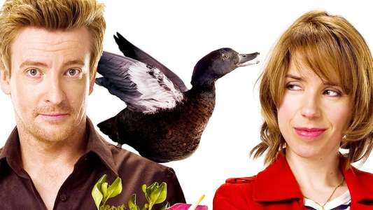 Love Birds - Backdrops