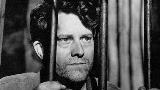 Jack London - Backdrops