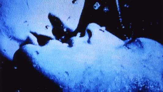 Self-Portrait in 23 Rounds: a Chapter in David Wojnarowicz’s Life  1989–1991 - Backdrops