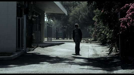 Grey Matter - Backdrops