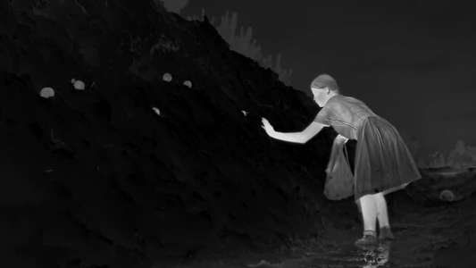 The Zone of Interest - Backdrops