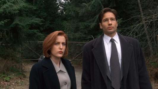 The X-Files - Backdrops