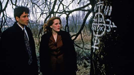 The X-Files - Backdrops