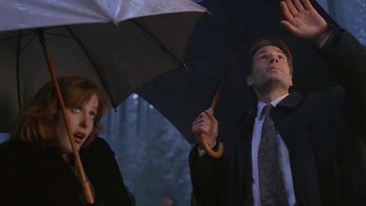 The X-Files - Backdrops