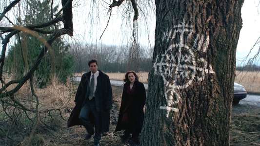 The X-Files - Backdrops