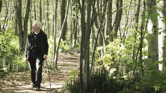 The Diary of an Old Man - Backdrops