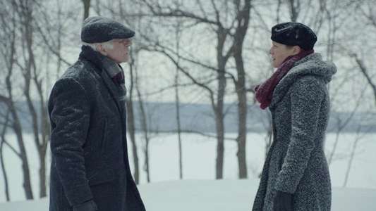 The Diary of an Old Man - Backdrops