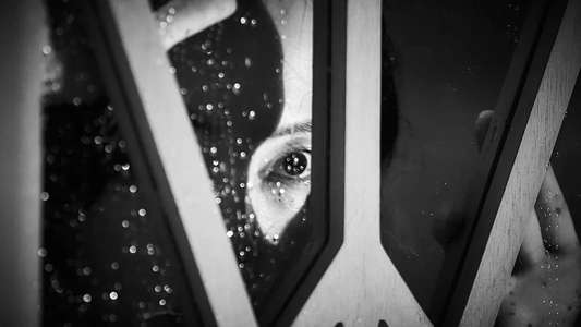Cobweb - Backdrops