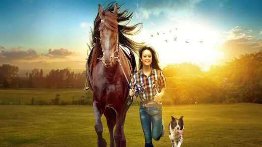 My Best Friend - Backdrops