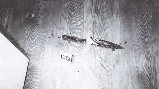 Longlegs - Backdrops