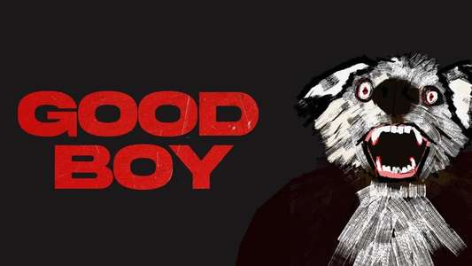 Good Boy - Backdrops