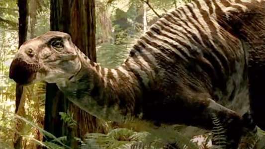 The Lost World - Backdrops