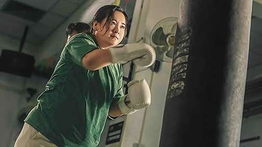 Yolo - Backdrops