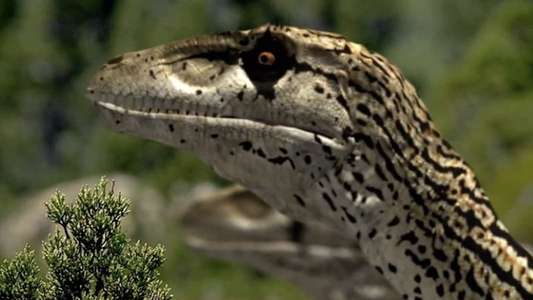Walking with Dinosaurs - Backdrops