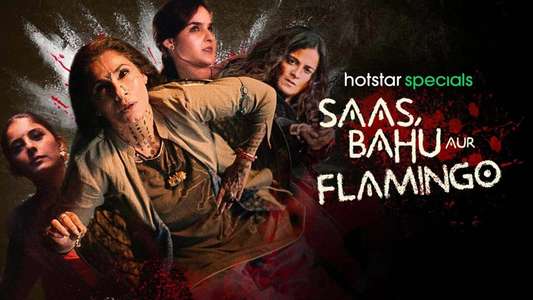 Saas  Bahu Aur Flamingo - Backdrops