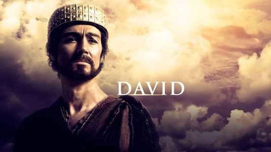 David - Backdrops