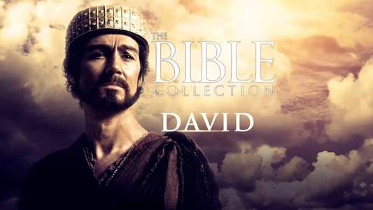 David - Backdrops
