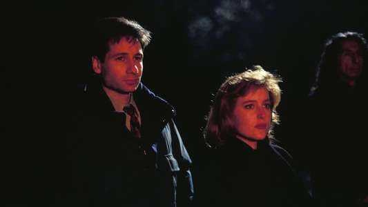 The X-Files - Backdrops
