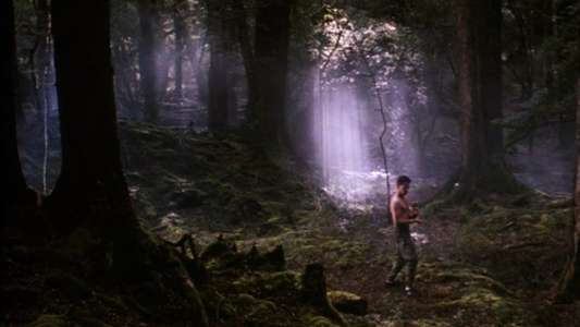 Brotherhood of the Rose - Backdrops