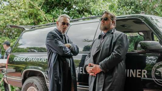 Sleeping Dogs - Backdrops