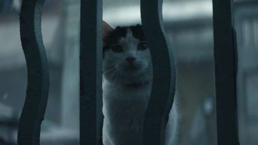 A Quiet Place: Day One - Backdrops