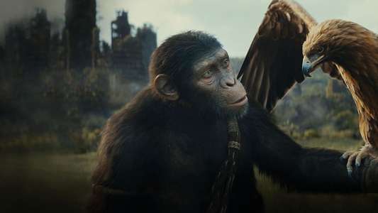 Kingdom of the Planet of the Apes - Backdrops