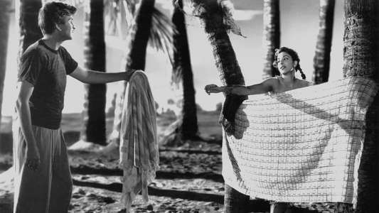 Awaara - Backdrops