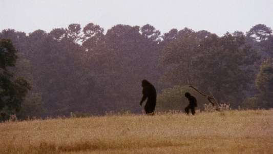 Boggy Creek II: And the Legend Continues - Backdrops