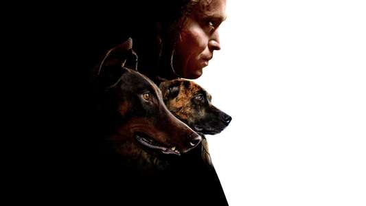 Dogman - Backdrops