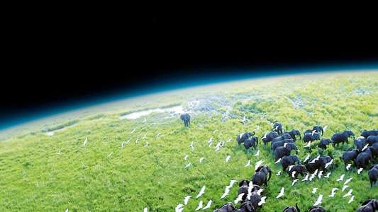 Planet Earth - Backdrops