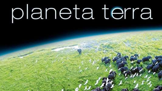 Planet Earth - Backdrops