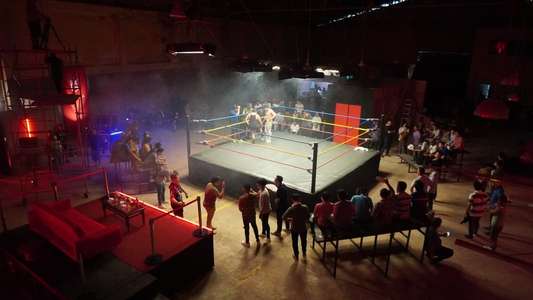 Fuchsia Libre - Backdrops