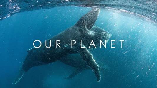 Our Planet - Backdrops