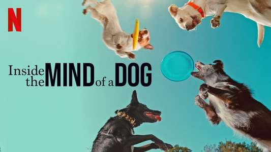 Inside the Mind of a Dog - Backdrops