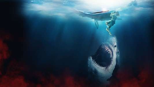 The Requin - Backdrops