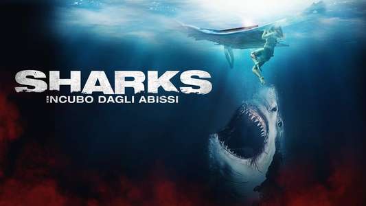 The Requin - Backdrops