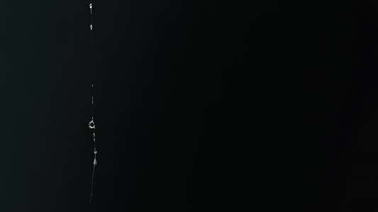 Alien: Romulus - Backdrops