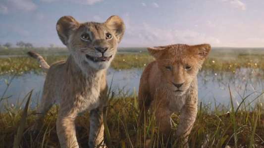 Mufasa: The Lion King - Backdrops